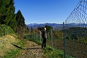 35  Montalbano Basso (465 m), vista verso le Prealpi Orobie